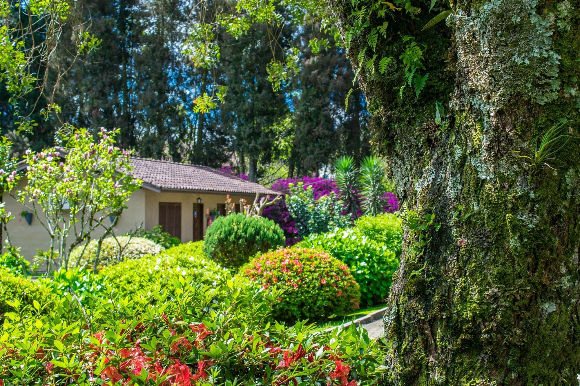 Hotel Fioreze Quero Quero Gramado Eksteriør billede
